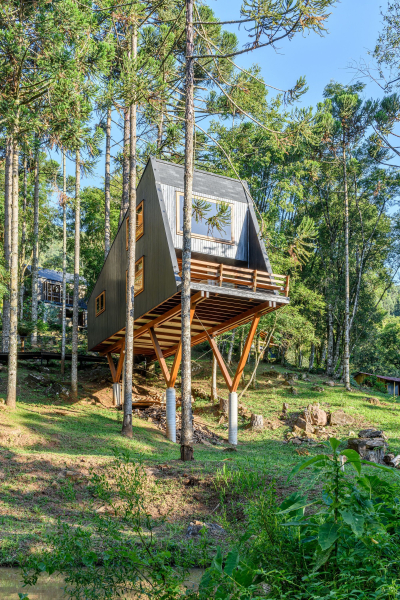 «Дом на дереве» с эстетикой современного дизайна и нотками скандинавского стиля
