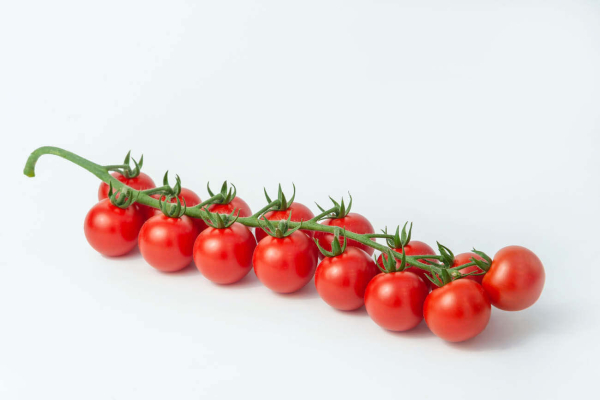 Лучшие сорта томатов для теплицы: Топ 33 видов помидор для выращивания в различных регионах