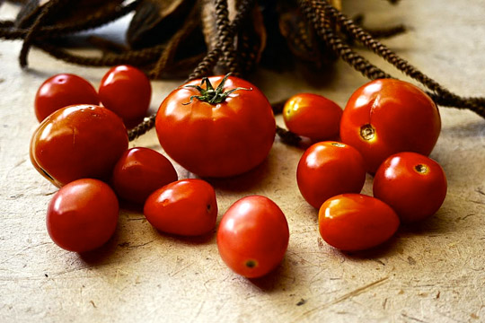 Лучшие сорта томатов для теплицы: Топ 33 видов помидор для выращивания в различных регионах